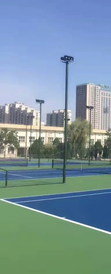 �˶�������